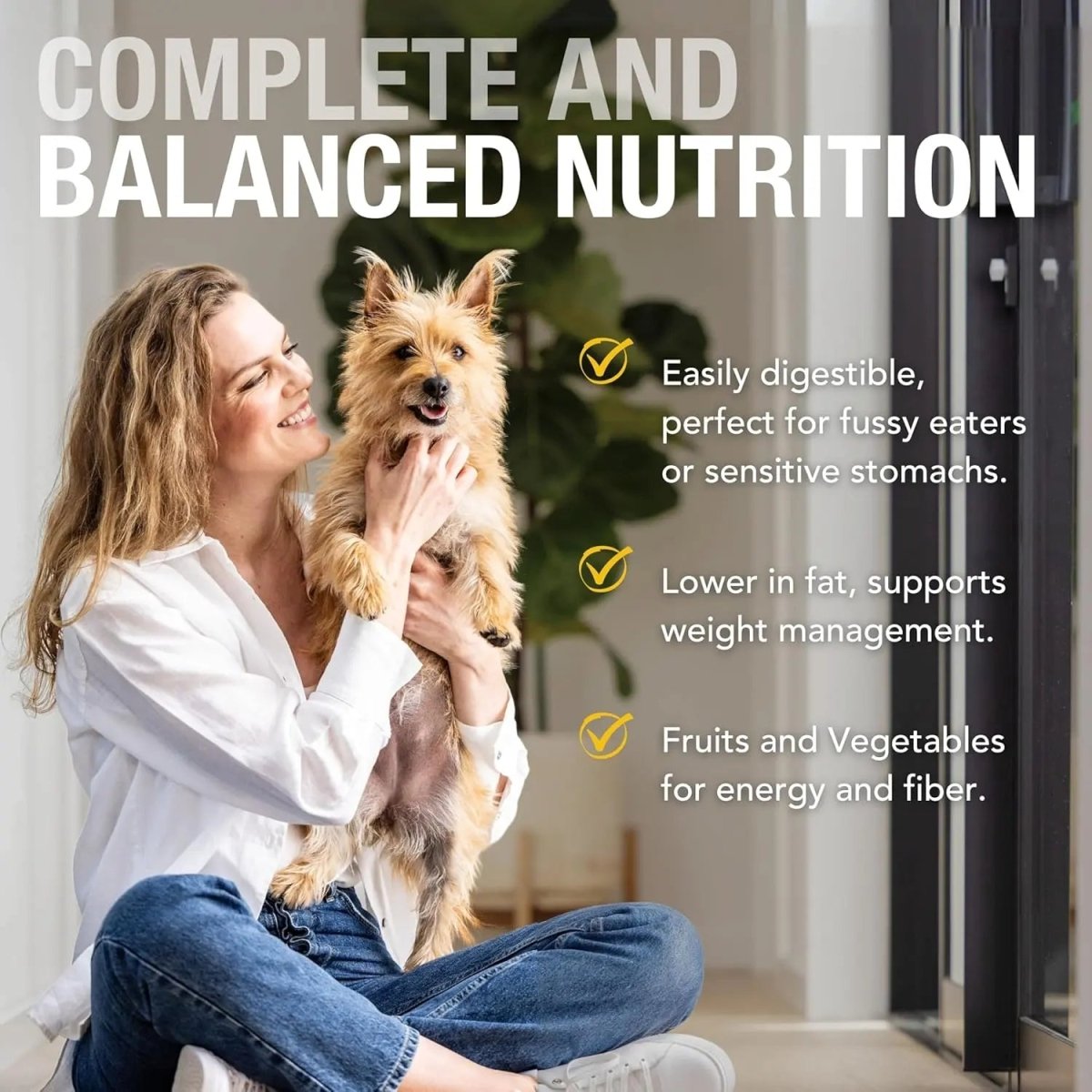 K9 Natural Cage - Free Chicken Feast Grain - Free Canned Dog Food - Talis Us