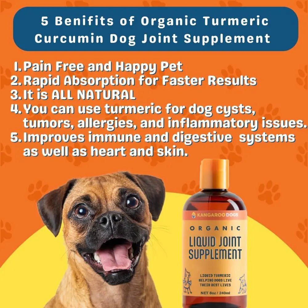 Kangaroo Dogs Organic Turmeric Curcumin Dog Joint Supplement 8oz - Talis Us