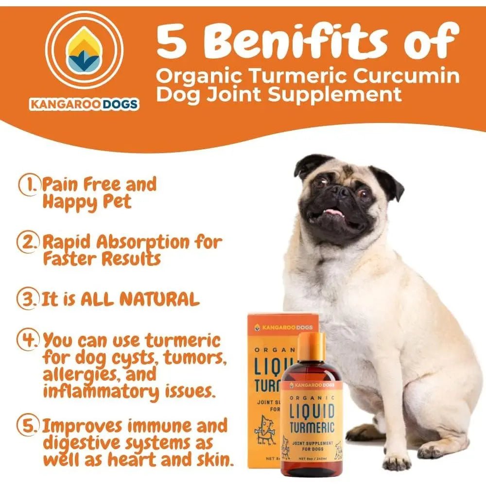 Kangaroo Dogs Organic Turmeric Curcumin Dog Joint Supplement 8oz - Talis Us