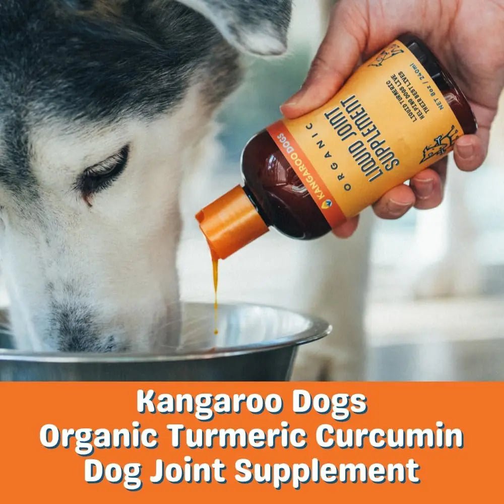 Kangaroo Dogs Organic Turmeric Curcumin Dog Joint Supplement 8oz - Talis Us