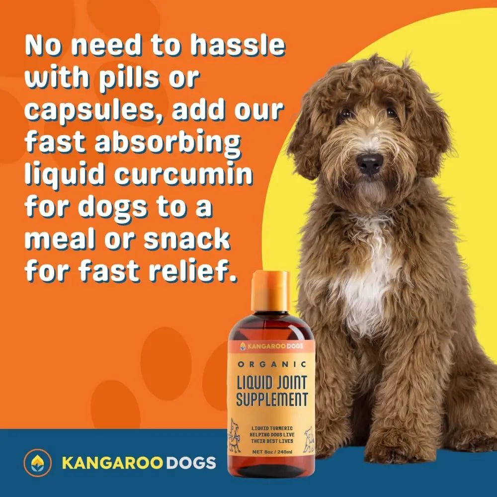 Kangaroo Dogs Organic Turmeric Curcumin Dog Joint Supplement 8oz - Talis Us