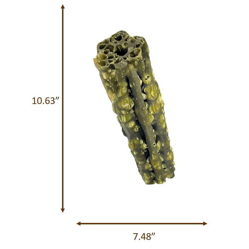 Spot Dental Dog Treats for Medium Dogs in a unique textured shape for effective cleaning