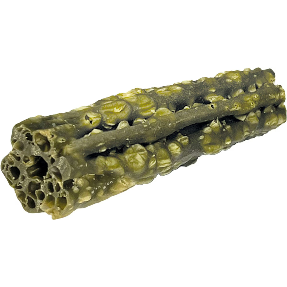 Spot dental dog treats for medium dogs shaped like a textured chew stick for dental health