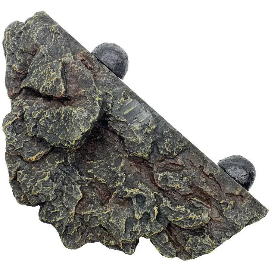 Komodo Magnetic Gecko Ledge 10In X 7 in - Talis Us