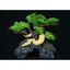 Komodo Terrarium Bonsai Tree with Hide Reptile Habitat Decor 18 in - Talis Us
