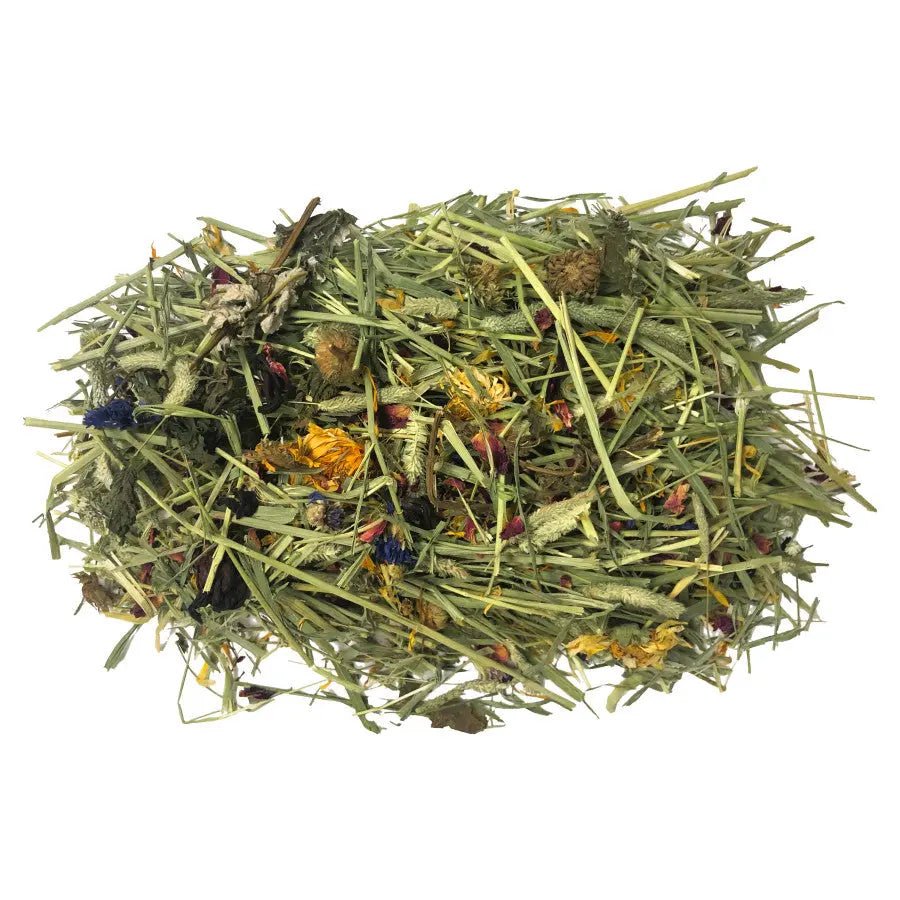 Komodo Tortoise Hay w/Wildflowers 24 oz - Talis Us