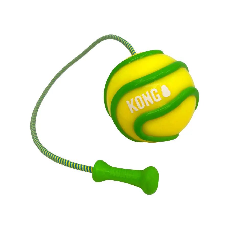 KONG Bunji High - Viz Ball Dog Toy Assorted - Talis Us