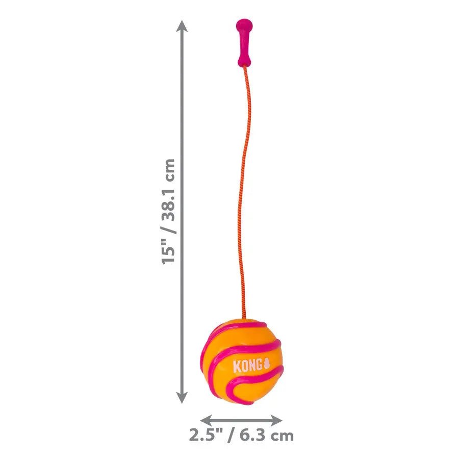 KONG Bunji High - Viz Ball Dog Toy Assorted - Talis Us
