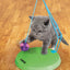 KONG Cat Active Sway 'n Play Cat Toy - Talis Us