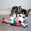 KONG Knots Twists Dog Rope Toy Assorted - Talis Us