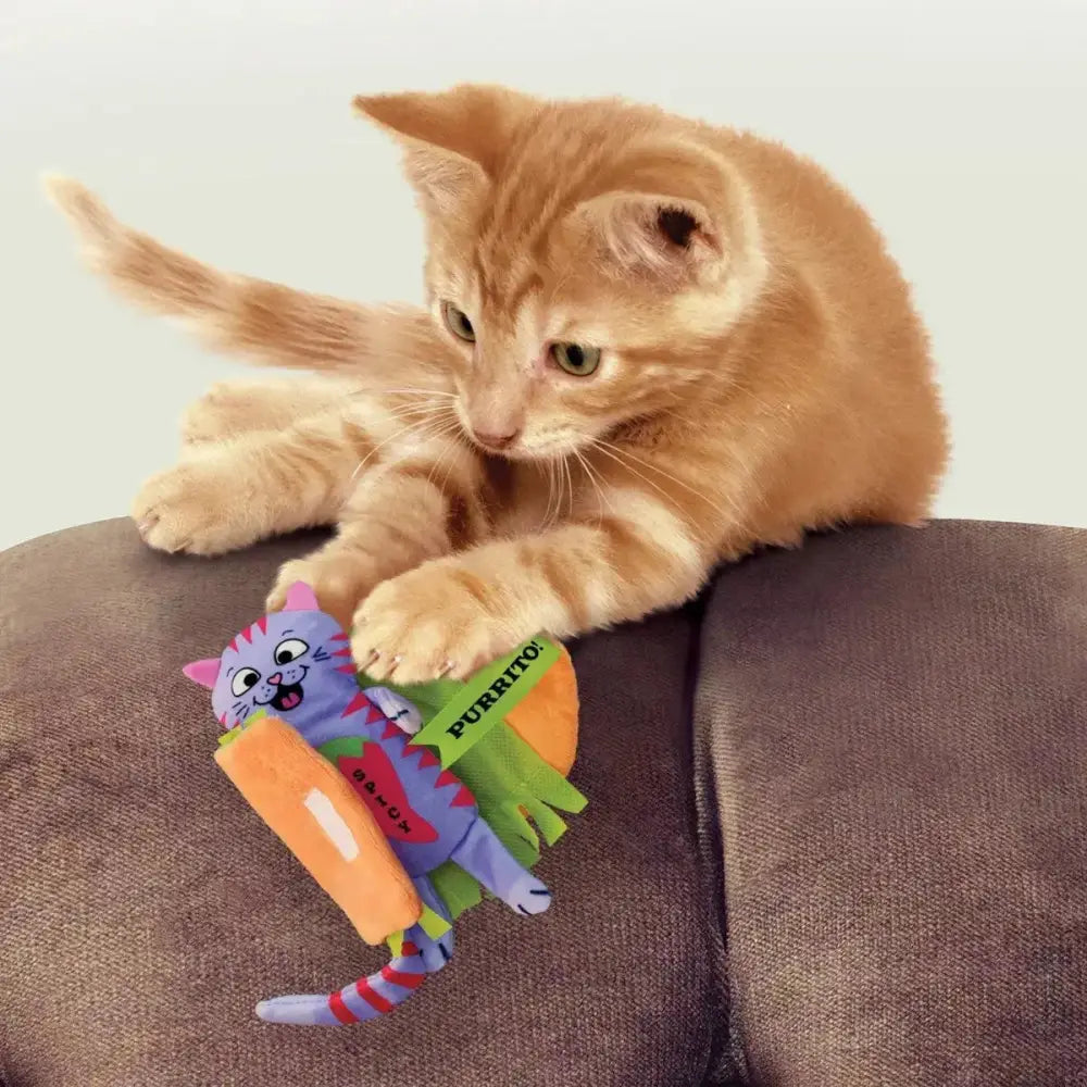 KONG Pull - A - Partz™ Purrito Cat Toy - Talis Us