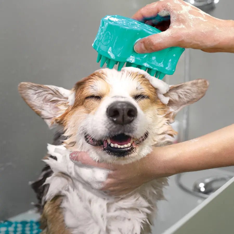 KONG ZoomGroom Bubbles Rubber Dog Grooming Brush - Talis Us