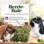 Lafeber Company Berrie - Bale for Rabbits Mint 1 lb - Talis Us
