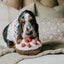 Lambwolf Collective Berry Pie Squeaky Interactive Dog Toys - Talis Us