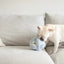 Lambwolf Collective Monti Squeaky Interactive Dog Toys - Talis Us