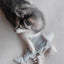 Lambwolf Collective Trout Squeaky Interactive Dog Toys - Talis Us