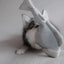 Lambwolf Collective Trout Squeaky Interactive Dog Toys - Talis Us