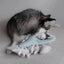 Lambwolf Collective Trout Squeaky Interactive Dog Toys - Talis Us