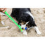 Loop & Launch Single Launchable Small Ball Dog Toy Launcher 2.5" - Talis Us