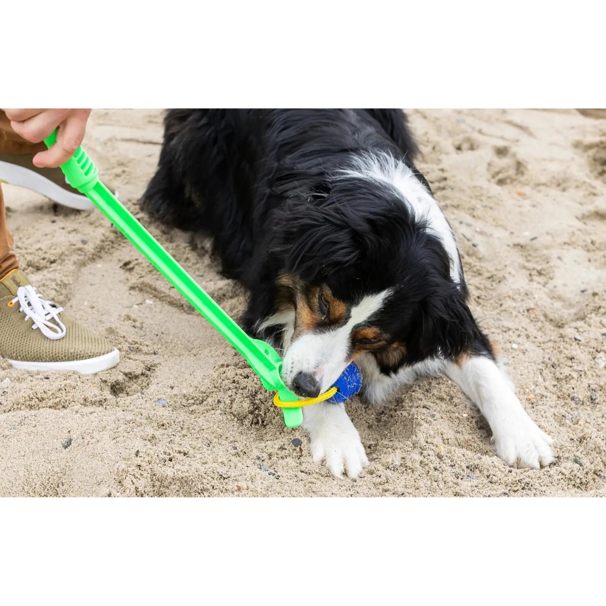 Loop & Launch Single Launchable Small Ball Dog Toy Launcher 2.5" - Talis Us