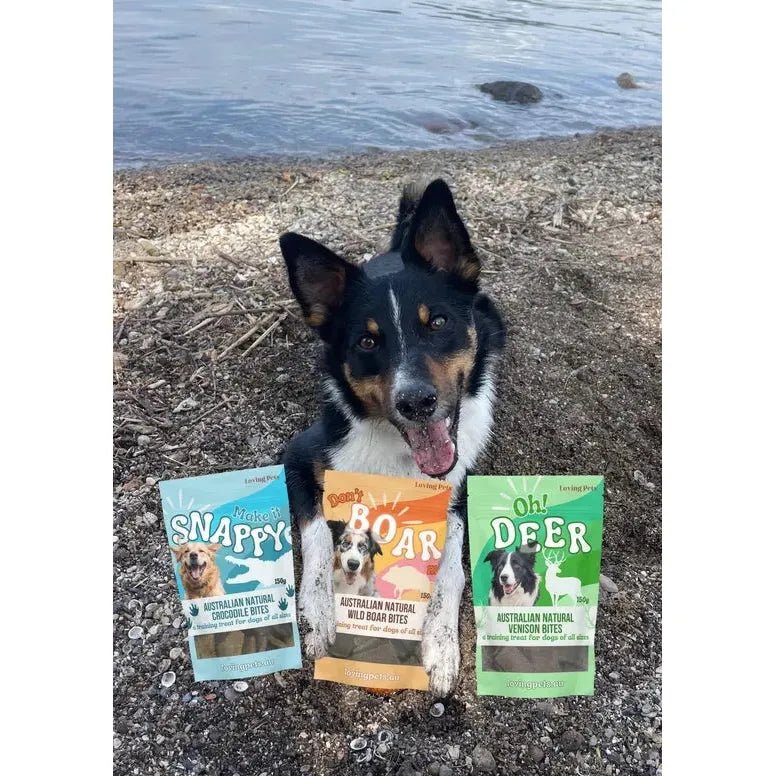Loving Pets Australia Don't Boar Me Wild Boar Bites Dog Treats 5.29 oz - Talis Us
