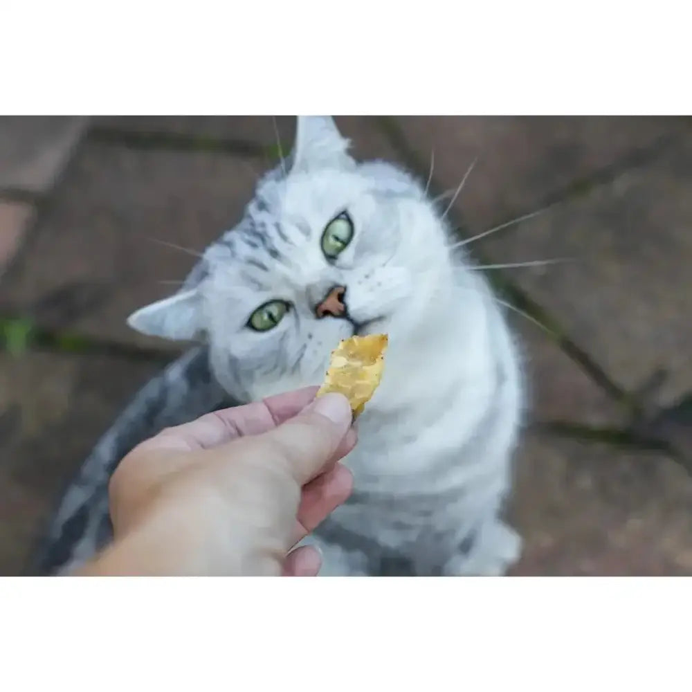 Loving Pets Australia Mackerel Strips Cat Treats 5.64 oz - Talis Us