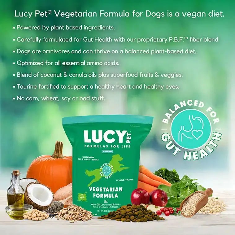 Lucy Pet Products Vegetarian Formula Dry Dog Food - Talis Us