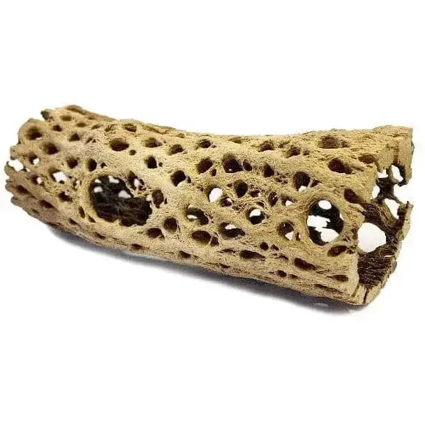 Lugartis Cholla Cactus Wood Lugarti