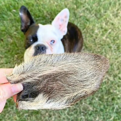 Lulu's Kitchen Natural Source of Fibre Furry Kangaroo Ears Dog Chews 2 Pack - Talis Us