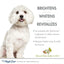 Four Paws bright white dog shampoo with almond shea butter scent for brightening and revitalizing pet coats