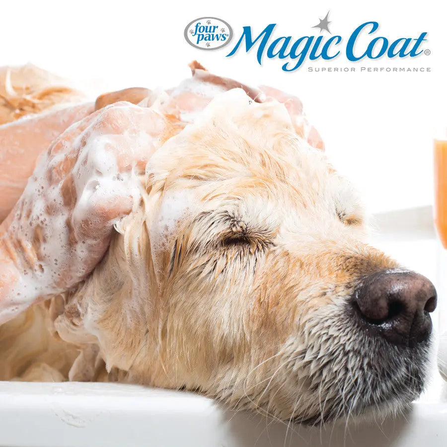 Four Paws Magic Coat dog shedding shampoo being used on a golden retriever for effective fur control
