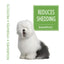 Four Paws dog shedding shampoo designed to nourish, hydrate, and protect your pet's coat