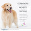 Four Paws gentle tearless dog shampoo labeled with benefits for softening and protecting fur