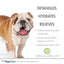 Four Paws hypoallergenic dog conditioner with oatmeal for detangling and hydrating dog coats
