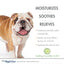 An English Bulldog stands on white, showcasing Four Paws Magic Coat Hypoallergenic Dog Shampoo. Text highlights: moisturizes, soothes, relieves; with oatmeal for gentle cleansing and hydration. A cucumber slice and Four Paws branding appear below.