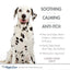Four Paws medicated dog shampoo with soothing aloe vera for irritation and anti-itch relief
