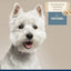 Four Paws nourishing oatmeal whitening dog shampoo for enhancing coat brightness in dogs