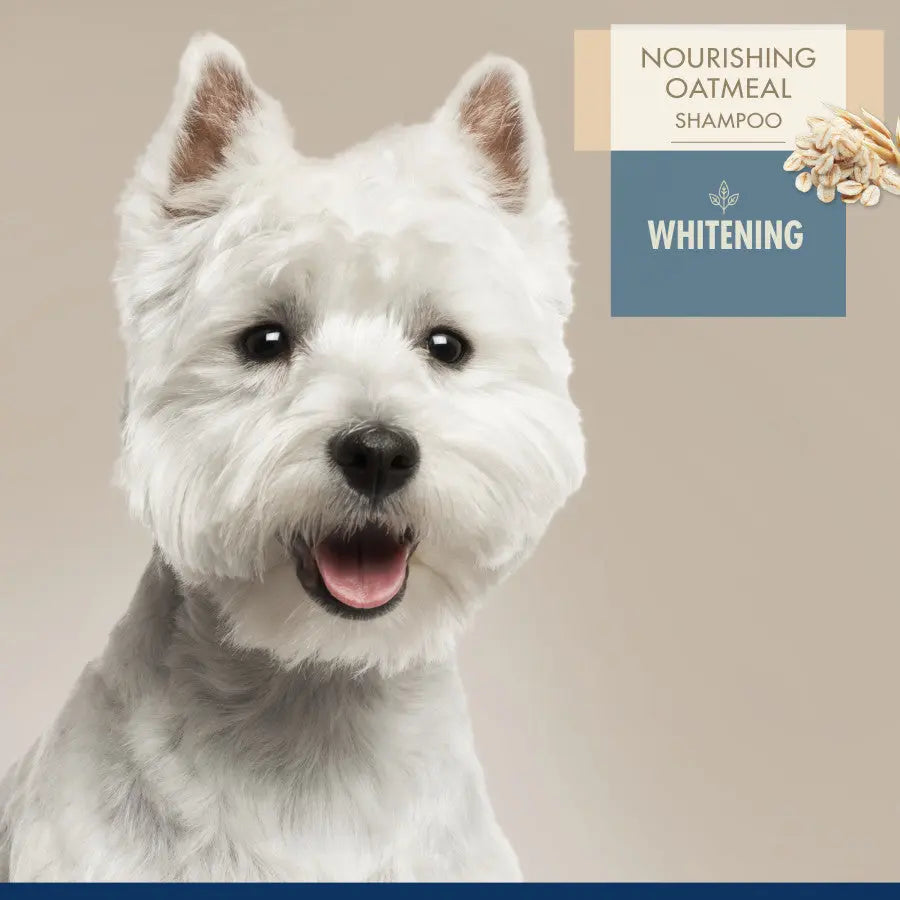 Four Paws nourishing oatmeal whitening dog shampoo for enhancing coat brightness in dogs