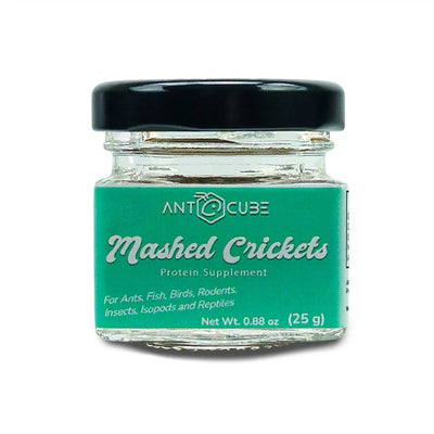 Mashed Crickets - Talis Us