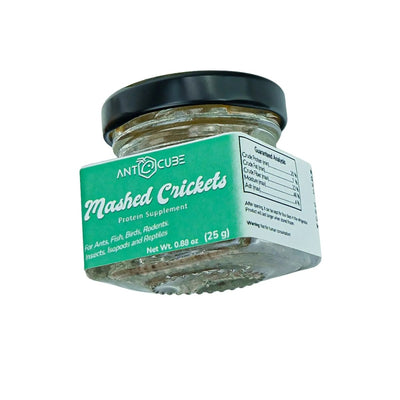 Mashed Crickets - Talis Us