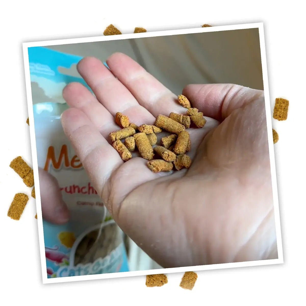 Meowijuana Crunchie Munchie Seafood Medley Cat Treat 3oz - Talis Us