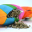 Meowijuana Get Smashed Pinata w/Wand Cat Toy - Talis Us