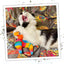 Meowijuana Get Smashed Pinata w/Wand Cat Toy - Talis Us