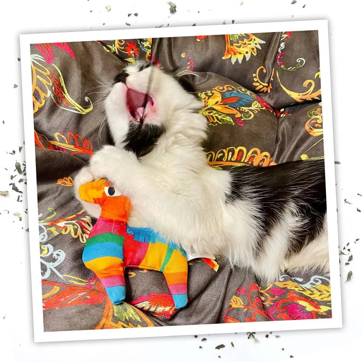 Meowijuana Get Smashed Pinata w/Wand Cat Toy - Talis Us