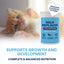 Under the Weather milk replacer for kittens with colostrum in a container supporting growth and development
