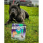 Mountain Dog Treats All Natural Freeze - Dried Salmon Treats for Dogs – Large - Talis Us