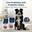Naavi Slow Roasted Beef Bowl Dry Dog Food - Talis Us