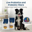 Naavi Slow Roasted Chicken Bowl Dry Dog Food - Talis Us