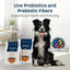 Naavi Slow Roasted Turkey Bowl Dry Dog Food - Talis Us