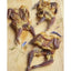 Naked Beasts Bone - in Whole Quails Exotic Protein Dog Treats - Talis Us